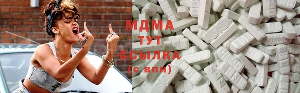 PSILOCYBIN Алзамай