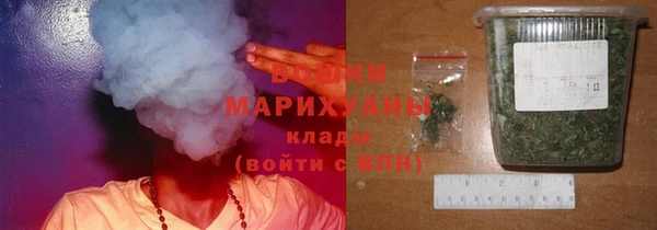 PSILOCYBIN Алзамай