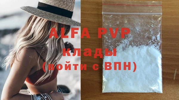 стафф Осинники