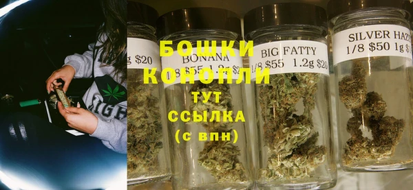 PSILOCYBIN Алзамай