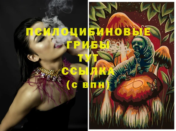ешки Алексеевка